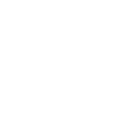 Champion Volvo
